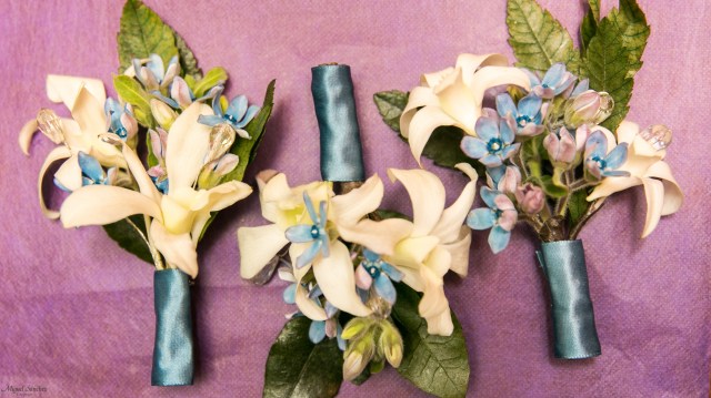 MYRIAM Y ARTURO-10005