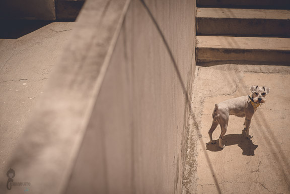 Alma y Pablo Boda-10061