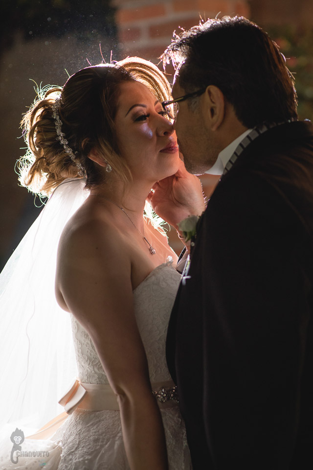 gabriela-y-j-alfredo-boda_10253